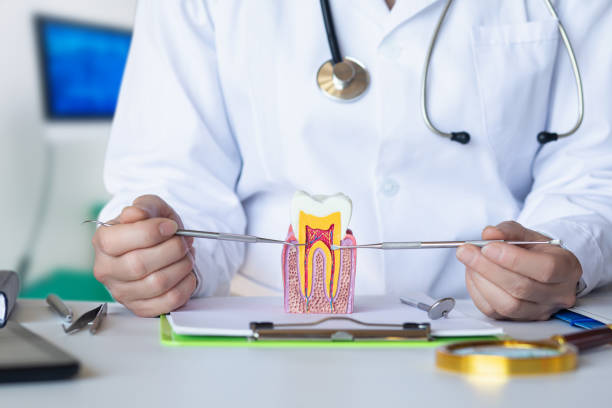 Best Walk-In Emergency Dentist in Brown Station, MD